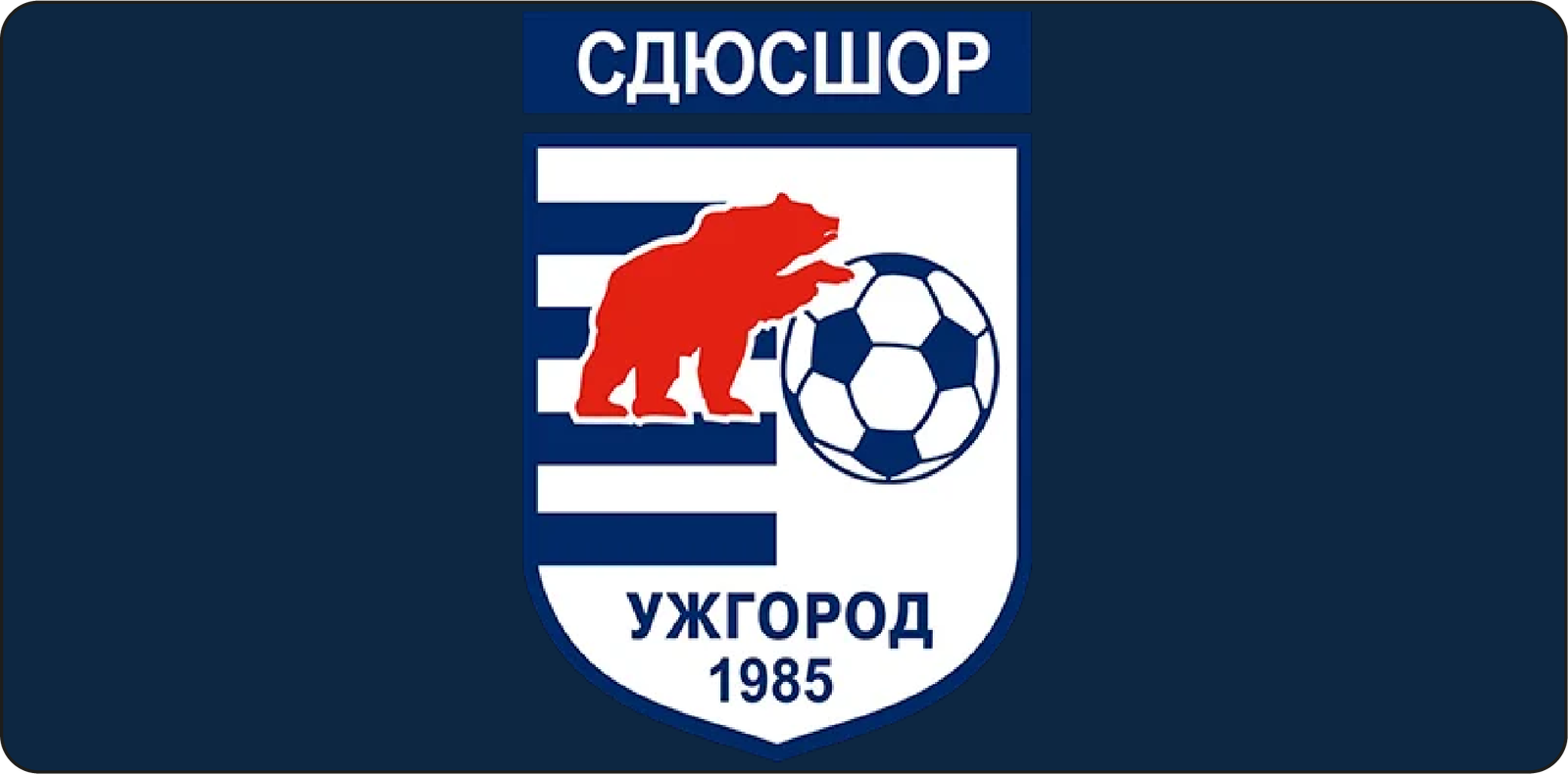 СДЮСШОР U-13 проводить додатковий набір у свою команду.